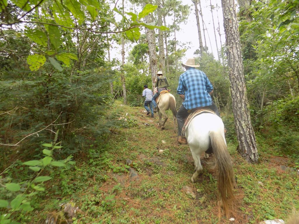 Rancho Hostal La Escondida Eco Park Теописка Экстерьер фото